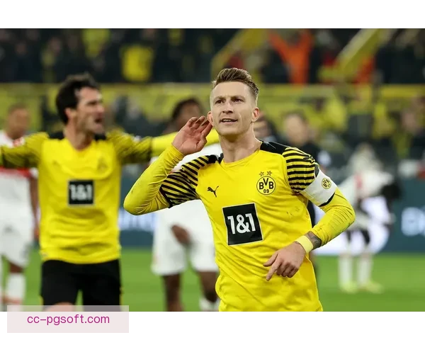 多特蒙德因伤病潮紧急征调16岁梯队门将挑战德甲赛场