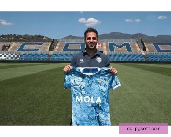 法布雷加斯带领科莫成功冲甲 助力球队重返意甲赛场