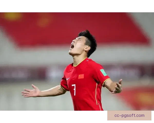 哈兰德在对阵德国美洲杯中的攻防表现与战术影响力深度剖析