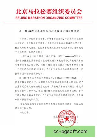 台北马拉松阻挡犯规认定：赛道规则执行细节